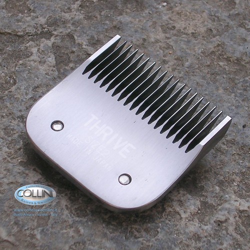 Thrive testina uomo 2 da - testina,